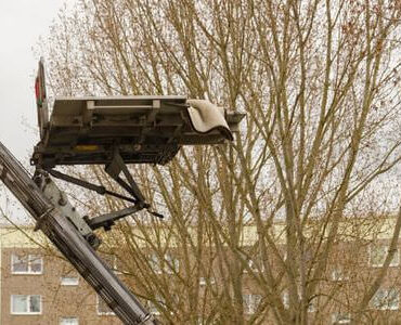 Möbellift in Bitburg Möbellift in Bitburg: Möbellift zwischen kahlen Bäumen vor einem Gebäude