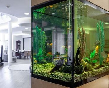 Aquarium-Umzug Bitburg Aquarium-Umzug Bitburg: Großes Aquarium in einem modernen Wohnzimmer